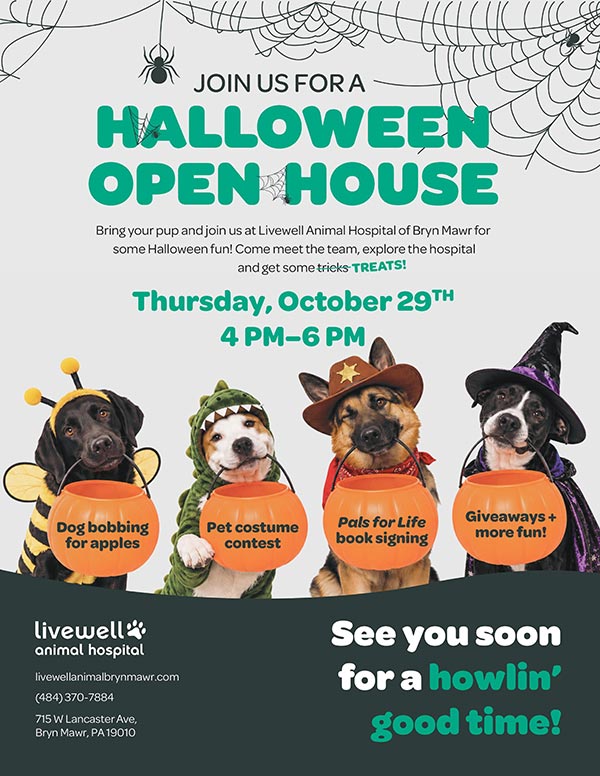 Livewell Animal Hospital Halloween Open House